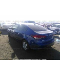 FORTE     2017 Engine Assembly 1009900