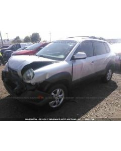 Driver Rear Side Door Electric With Side Cladding Fits 05-09 TUCSON 874316