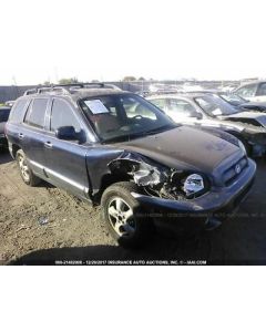 Hood Prop Struts Fits 01-06 SANTA FE 895144