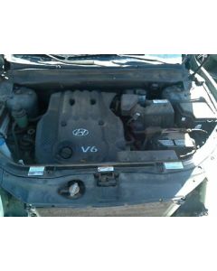 Driver Left Front Door Fits 07-09 SANTA FE 531866