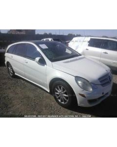 Driver Front Door 251 Type R320 Fits 06-09 MERCEDES R-CLASS 840837