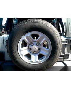 Passenger Rear Side Door Full Door Light Tint Fits 07-10 WRANGLER 675506